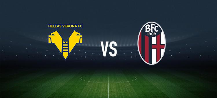 实际贡献的 实际贡献的