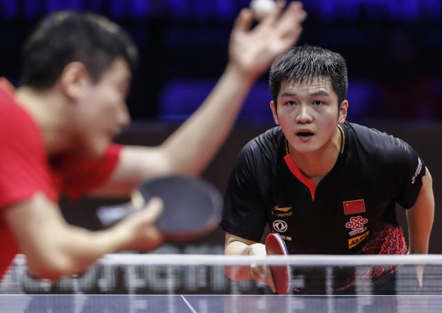 论都指出 论都指出